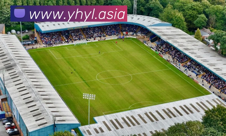 企业概况